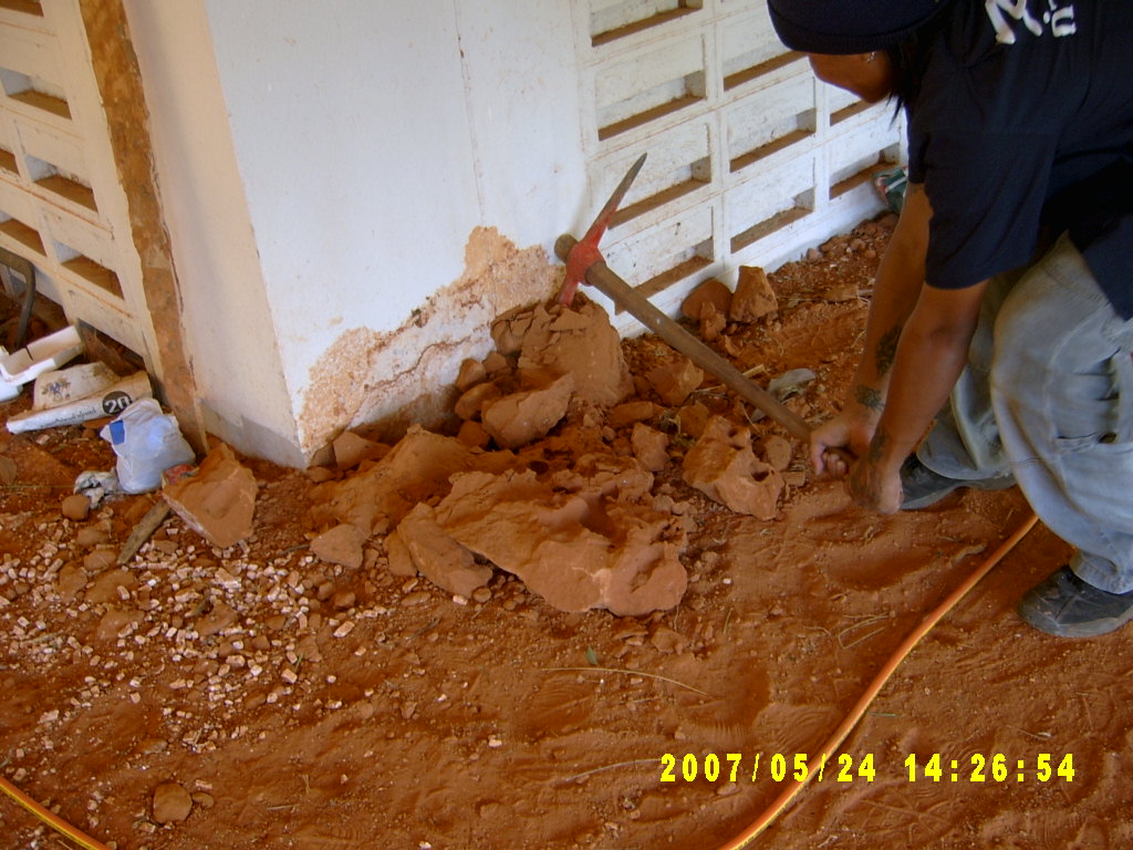 เจ้าหน้าที่กำลังขุดทำลายรังปลวก